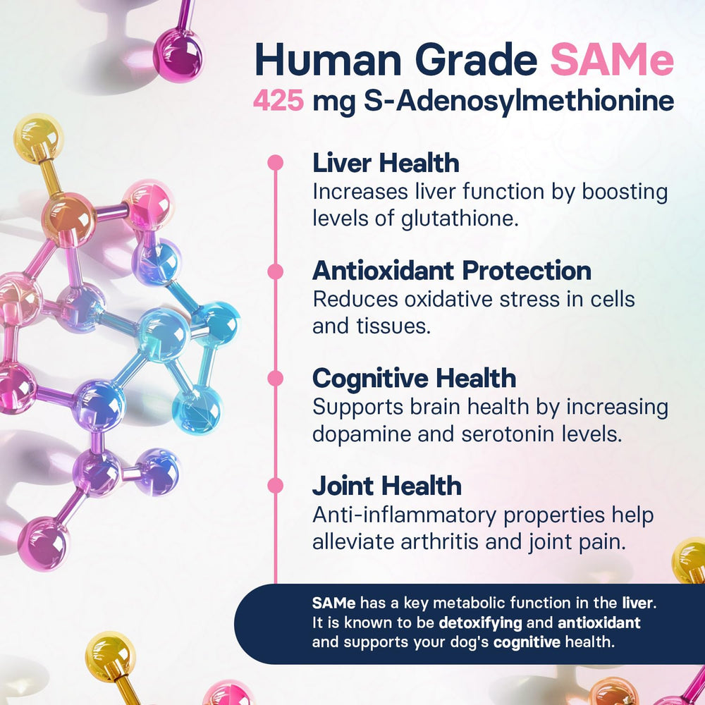 SilymarinAdvanced anti-inflammatory flavonoids support liver health.