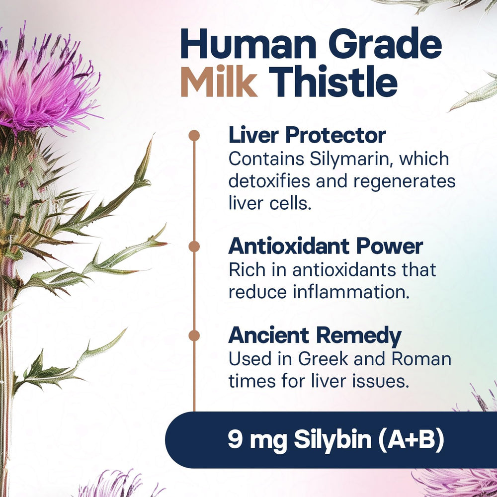 SilymarinAdvanced cat-health-clean-liver: supports toxin management for feline liver.