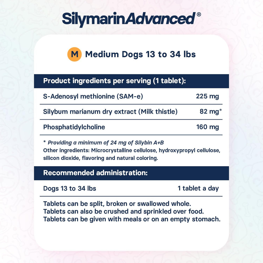 SilymarinAdvanced dog relaxing at home after supplement routine.