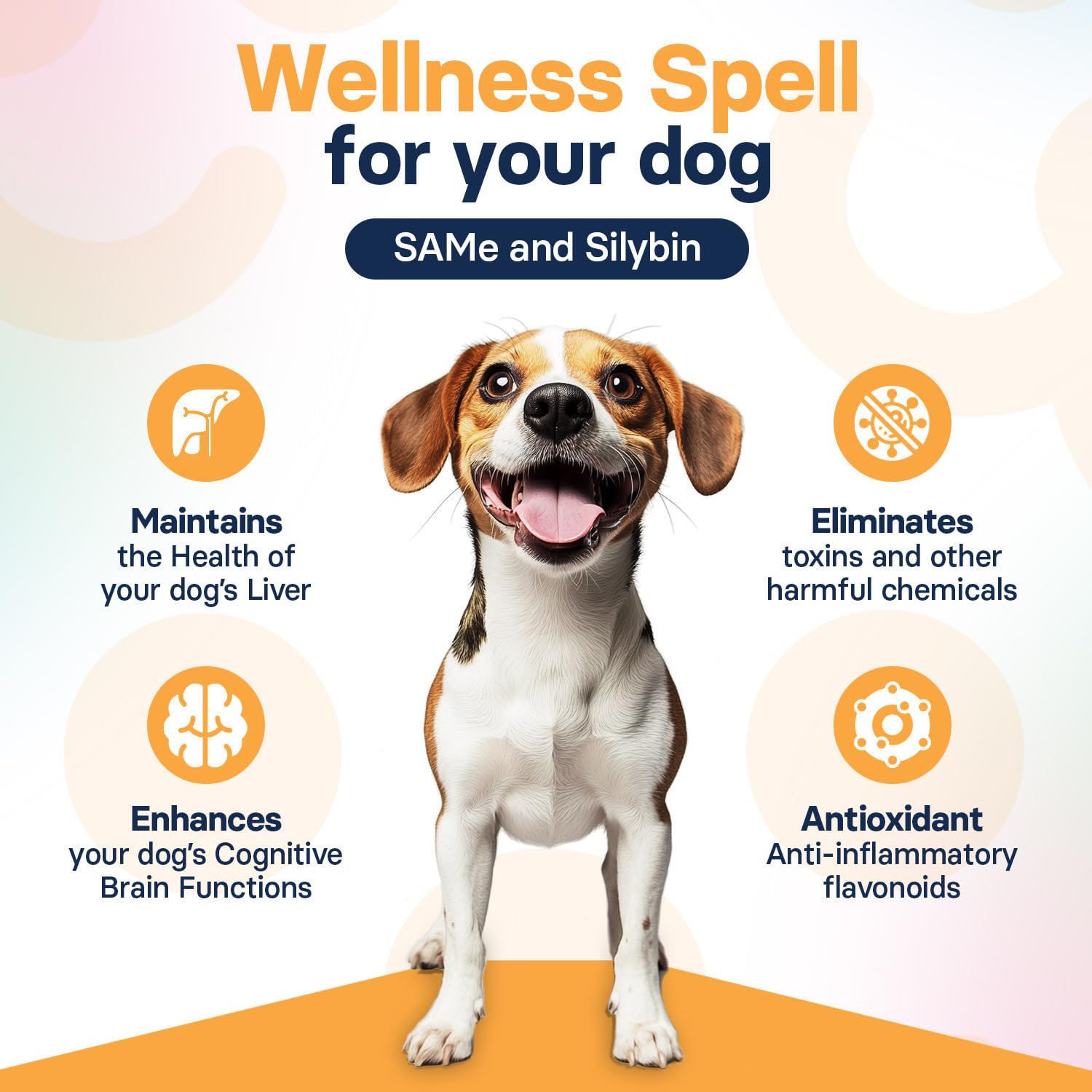 SilymarinAdvanced dog tablet being handed to owner for easy dosing.