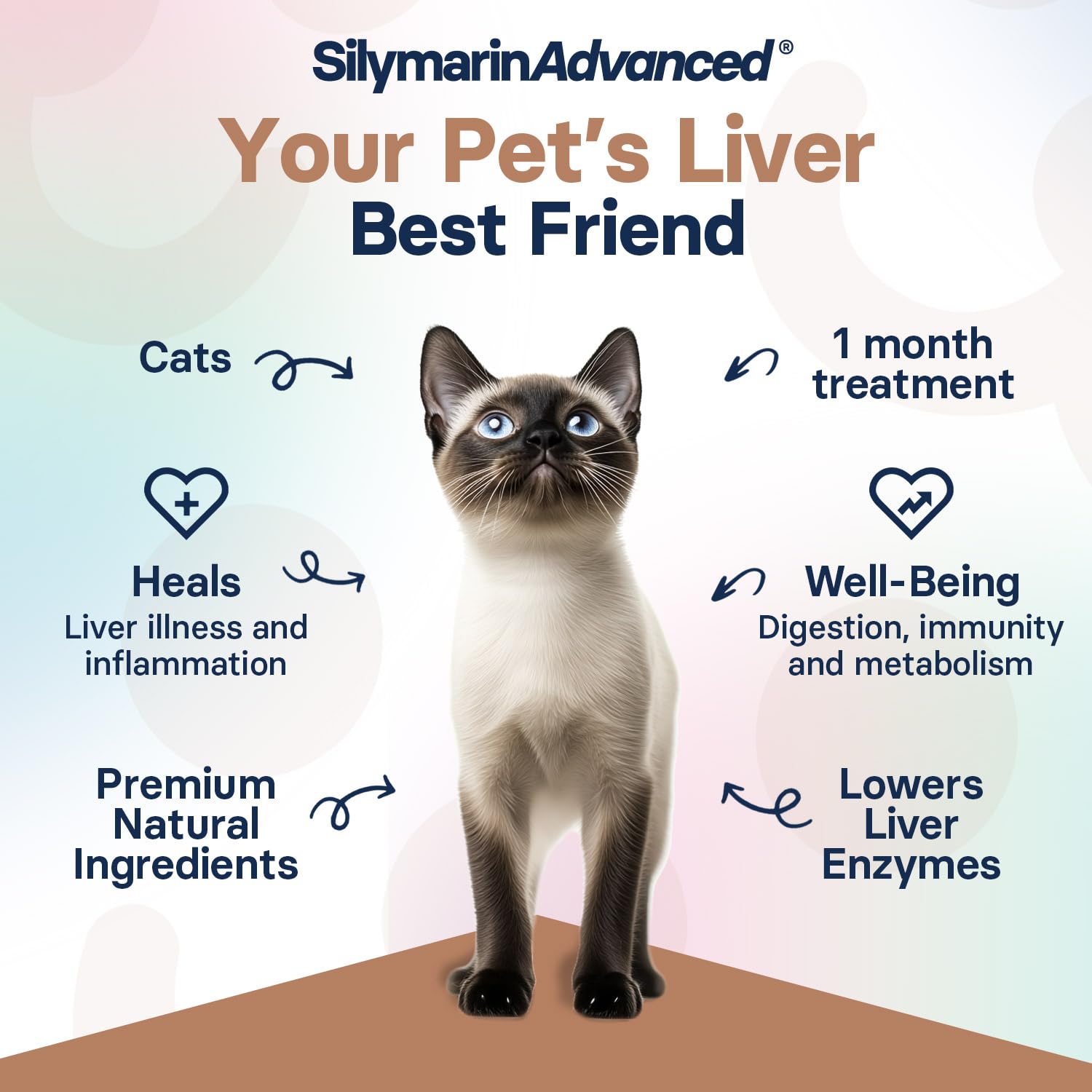 SilymarinAdvanced easy-dose tablet for effortless daily administration.