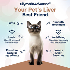 SilymarinAdvanced easy-dose tablet for effortless daily administration.
