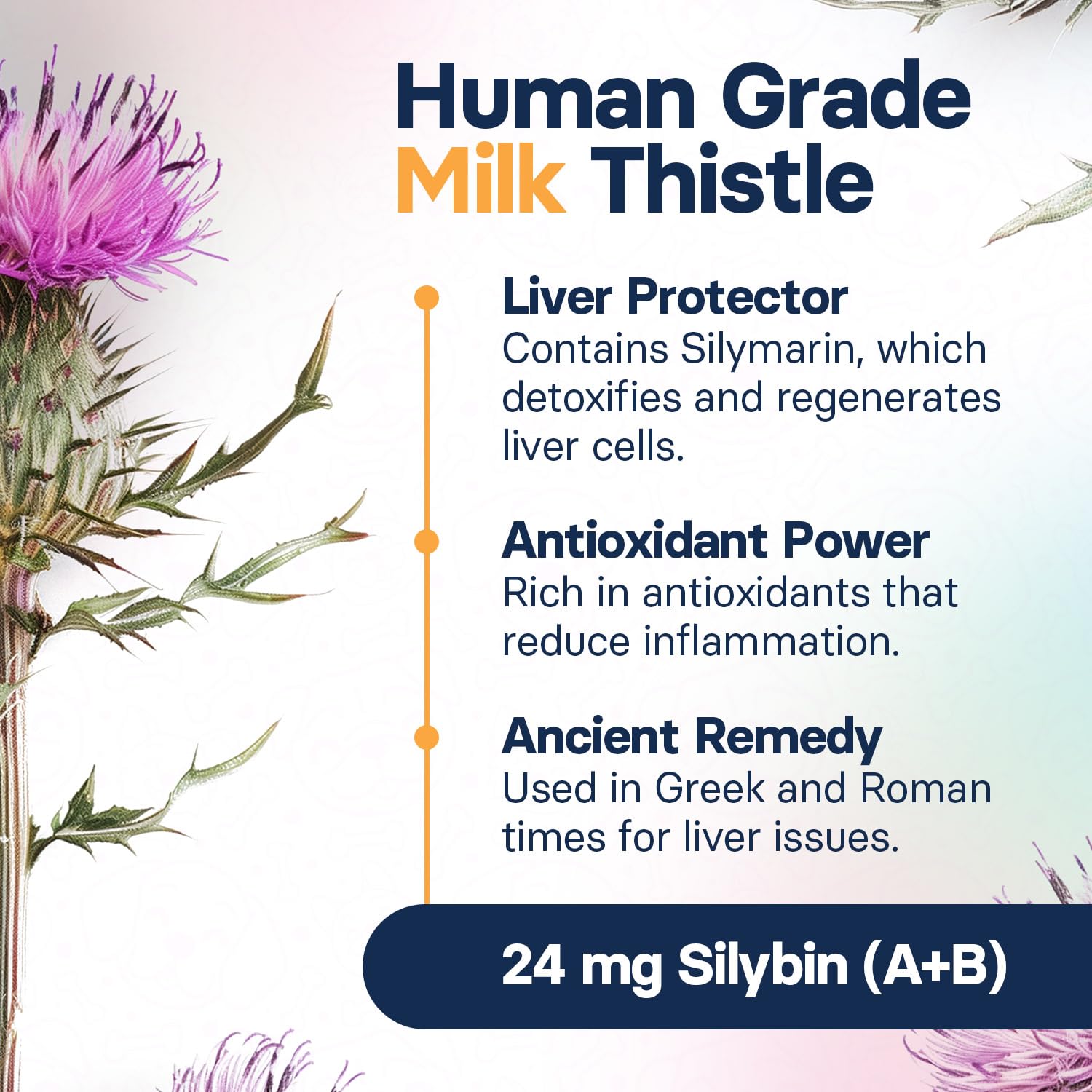 SilymarinAdvanced gluten-free non-GMO label supporting safe pet choices.