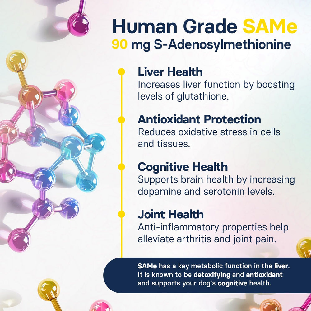 SilymarinAdvanced label details ingredients and dosage for dog health