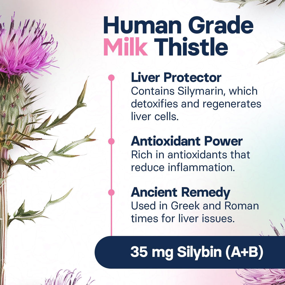 SilymarinAdvanced milk thistle dog capsule for liver support.