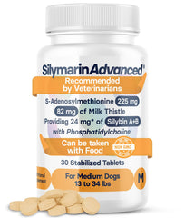 SilymarinAdvanced milk thistle dog supplement bottle for daily liver support.