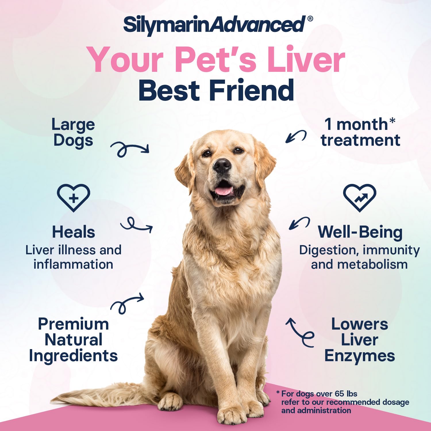 SilymarinAdvanced SAM-e dog tablet supporting brain clarity.