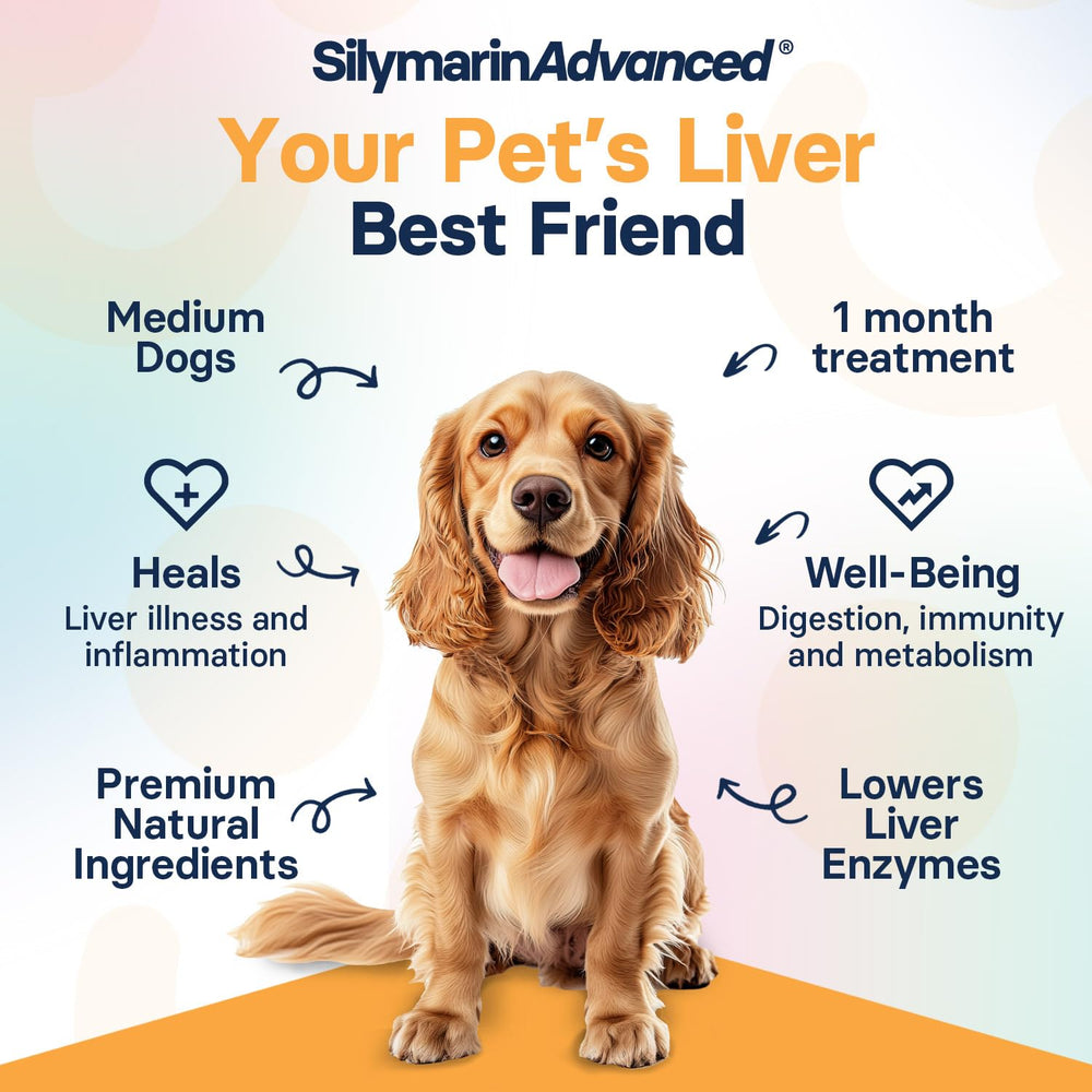 SilymarinAdvanced SAMe and Silybin ingredients highlight liver wellness benefits.