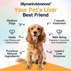 SilymarinAdvanced SAMe and Silybin ingredients highlight liver wellness benefits.