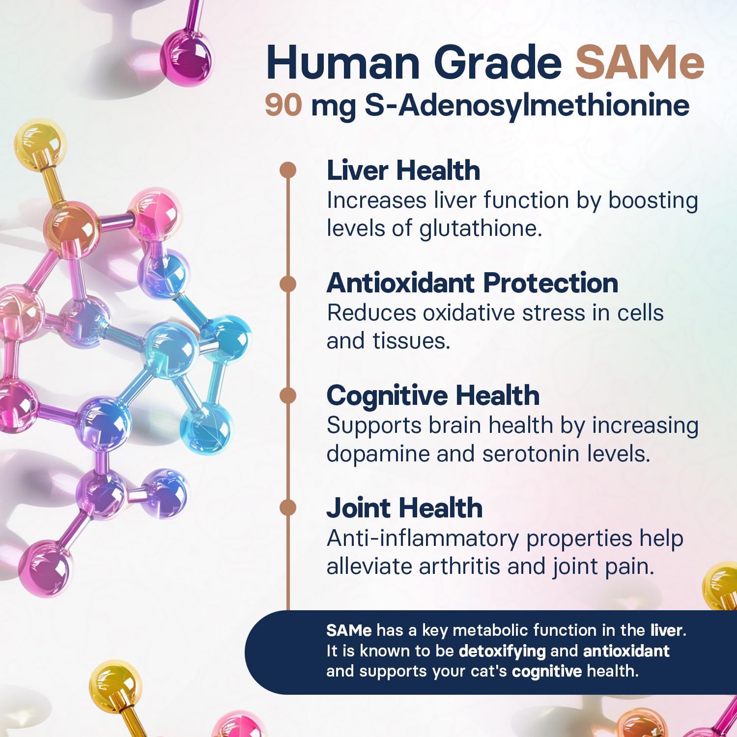 SilymarinAdvanced vet-designed-formula: developed with professionals for cat welfare.