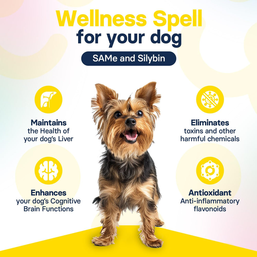 SilymarinAdvanced veterinarian-designed formula for simple daily dosing