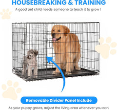 Simple Deluxe 24-Inch crate divider enables two pets to share space comfortably