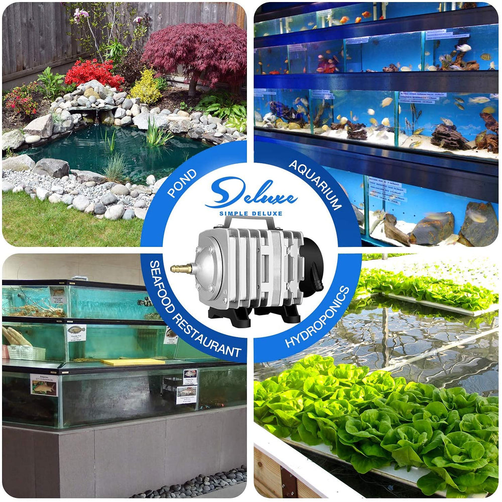 Simple Deluxe aquarium setup shows air pump in use for oxygenation