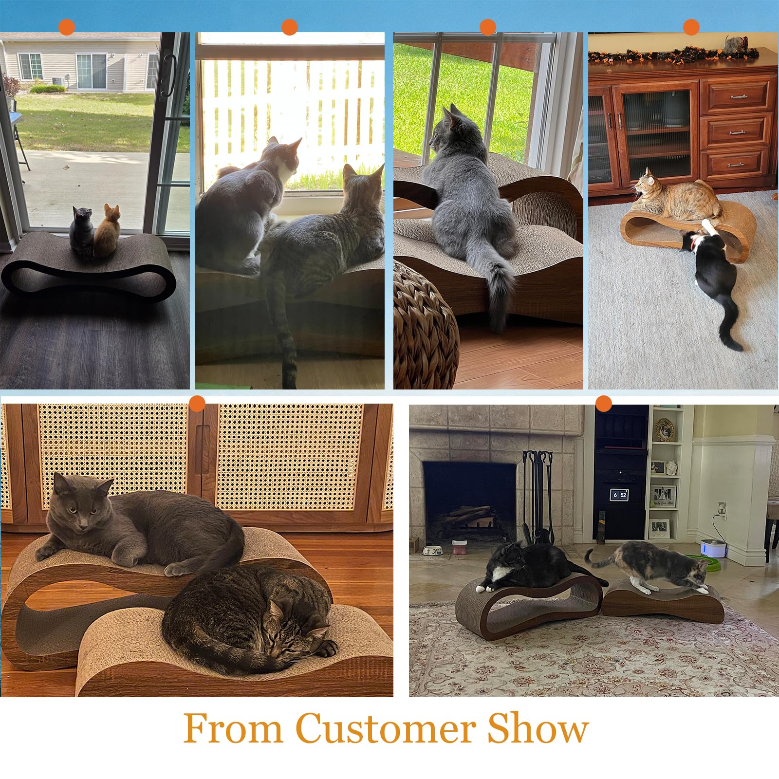 Simple Deluxe large size accommodates bigger cats comfortably.