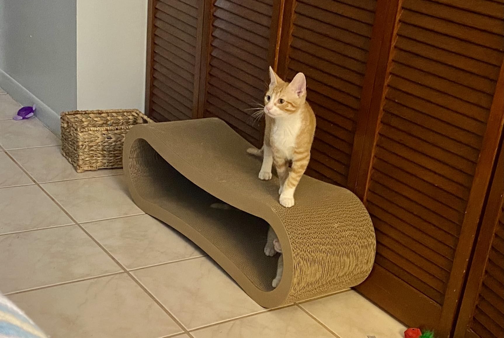Simple Deluxe furniture protection scratcher helps shield sofas and carpets from scratches.