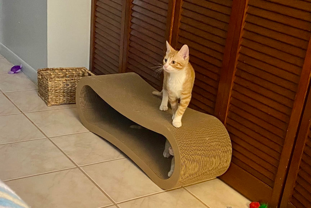 Simple Deluxe furniture protection scratcher helps shield sofas and carpets from scratches.