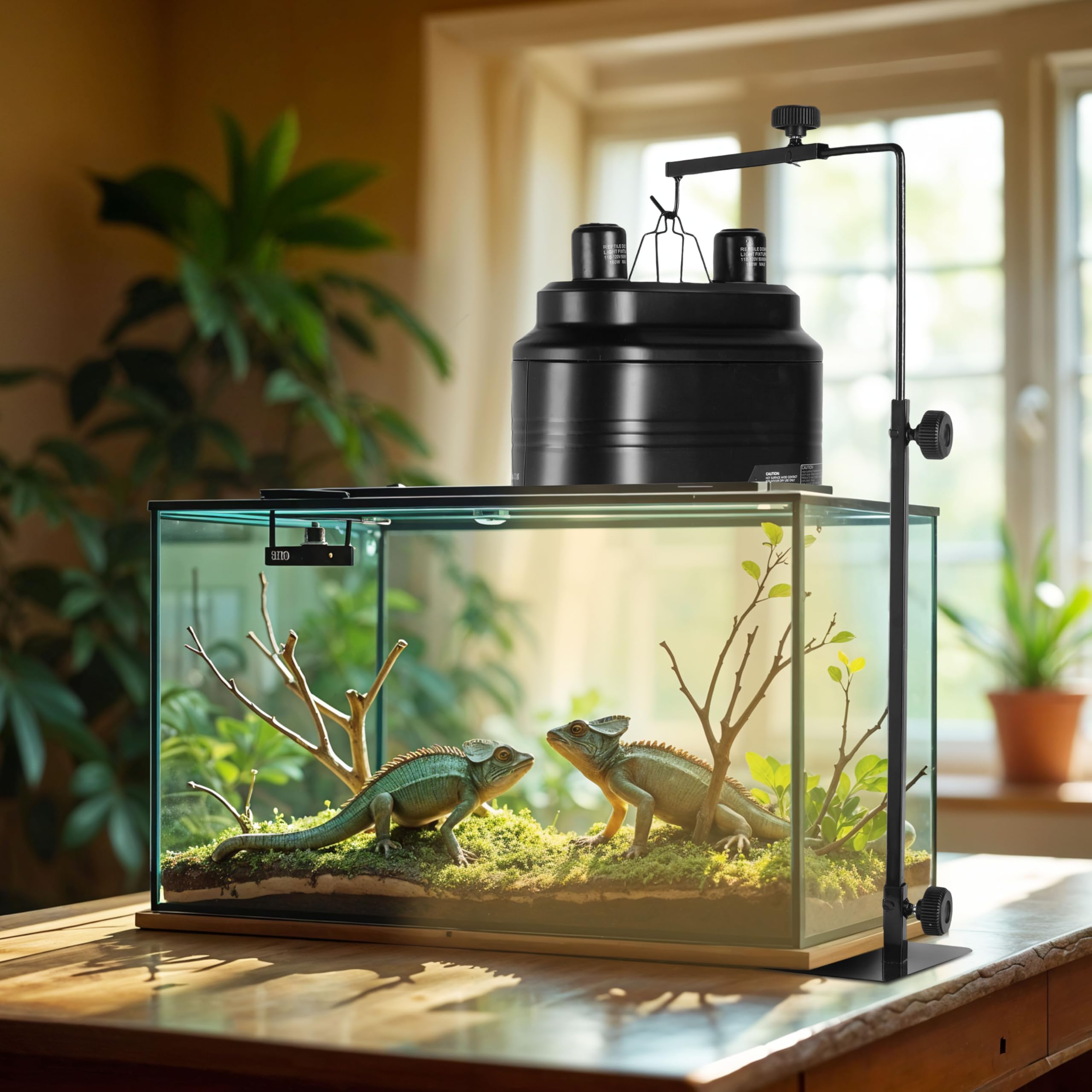 Simple Deluxe reptile terrarium lighting solution for amphibians, tortoises, and snakes.