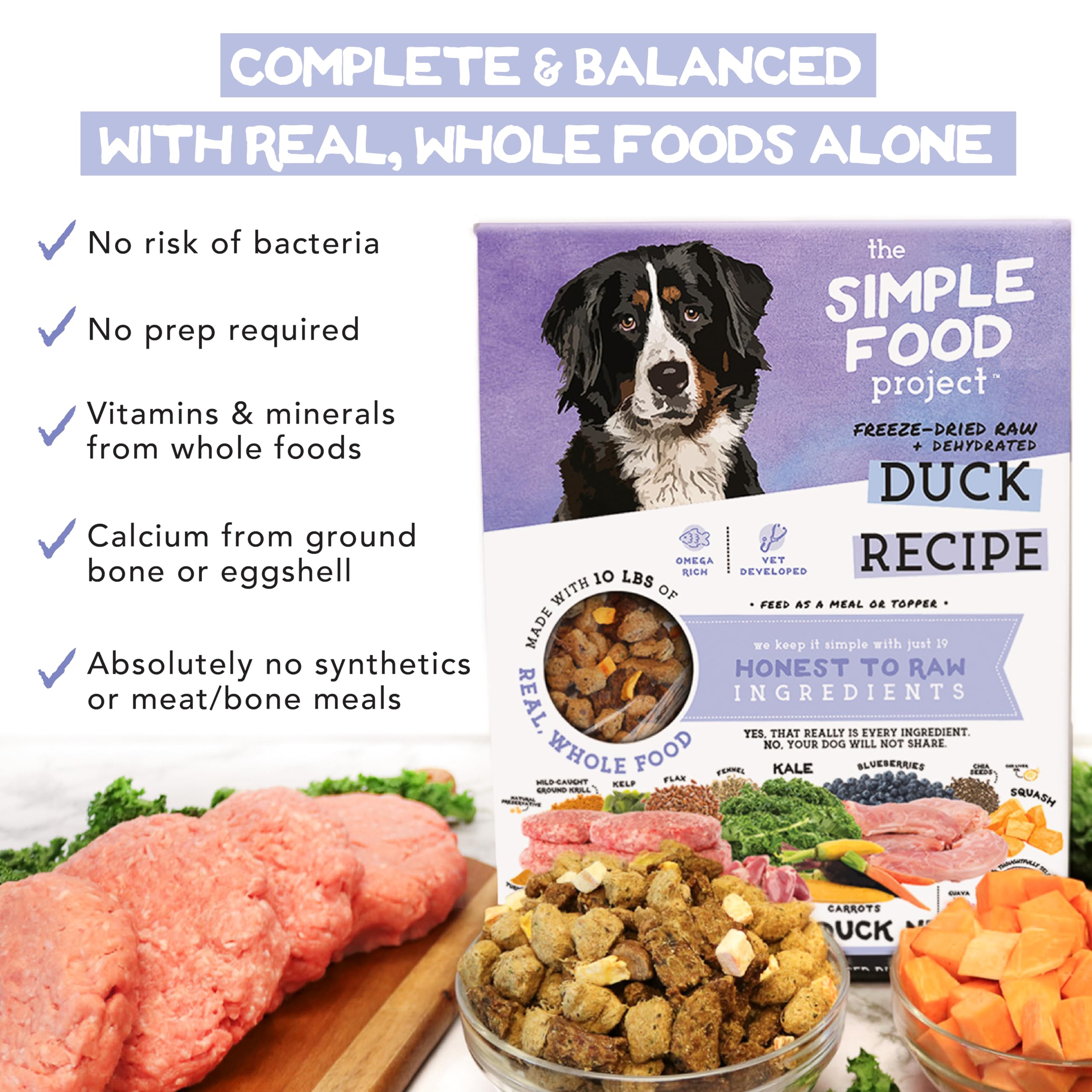Simple Food Project Duck Recipe in bowl shows convenient, complete dog meals with balanced carnivore nutrition.