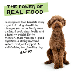 Simple Food Project freeze-dried dog food beef-salmon flavor 1oz sample for omega-rich meals.