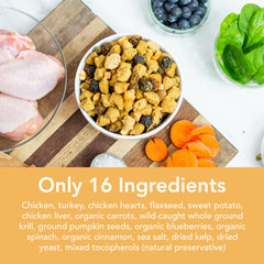 Simple Food Project meal topper in bowl demonstrates versatile feeding options.