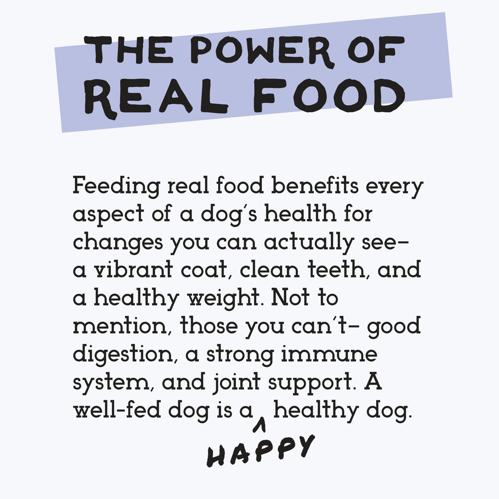 Simple Food Project Wisconsin small-batch production emphasizes safety and freshness.