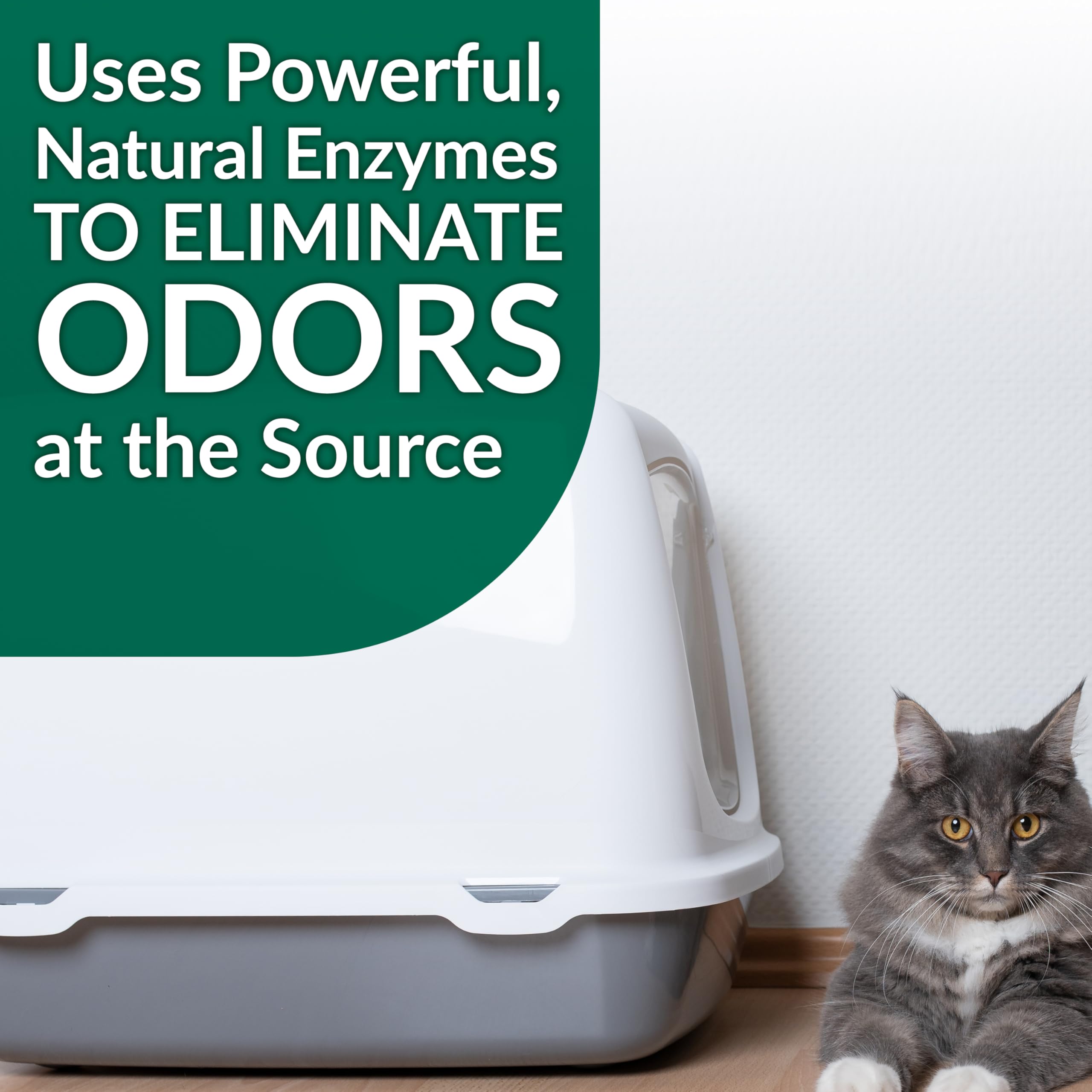 Simple Green Cat Stain and Odor Remover works on carpets and upholstery for fresh spaces.