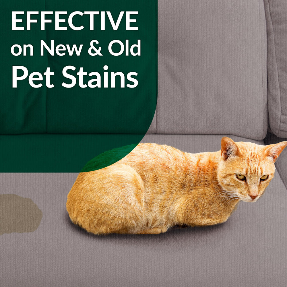 Simple Green Cat Stain and Odor Remover safe for use around pets.