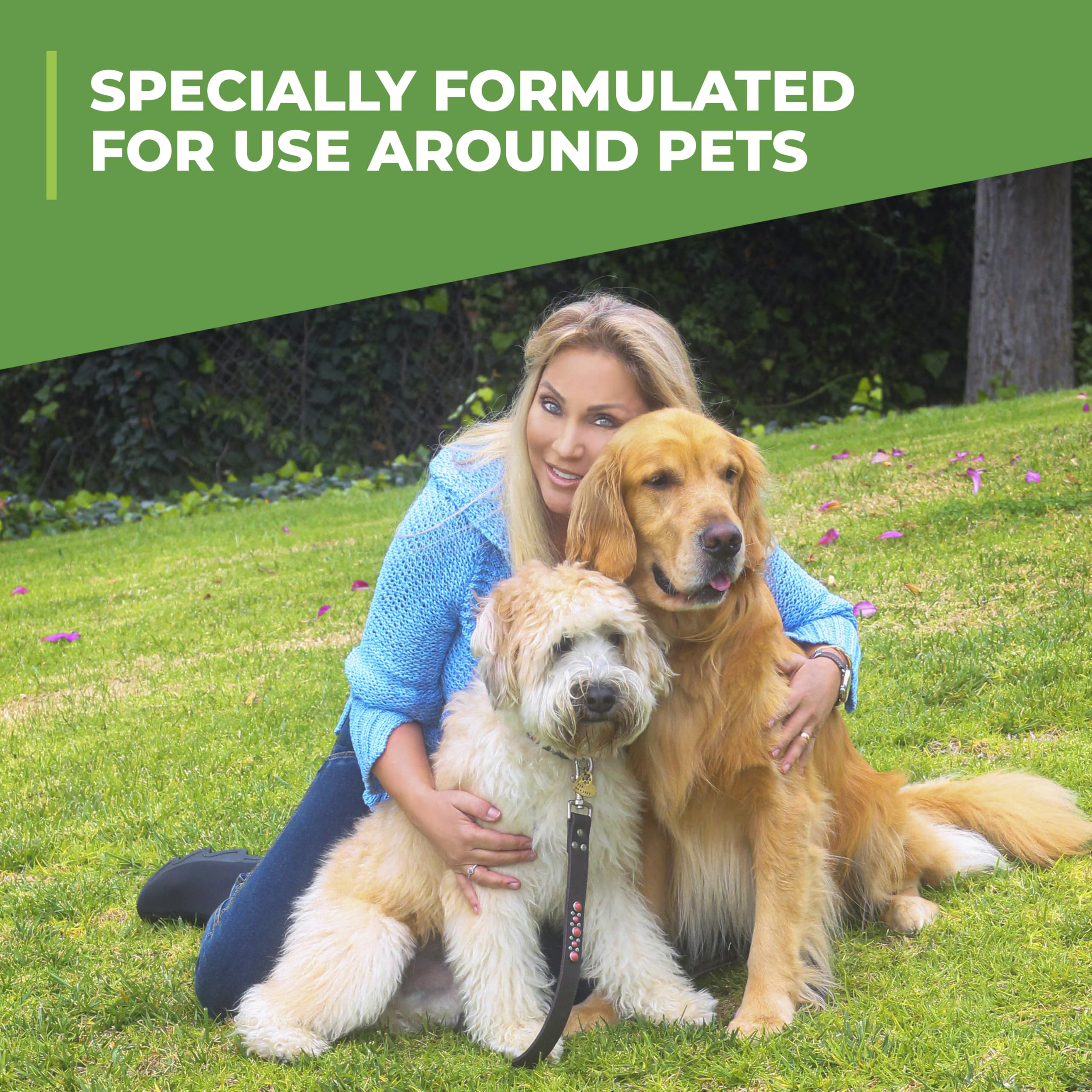 Simple Green Outdoor Odor Eliminator set in a yard near a dog run