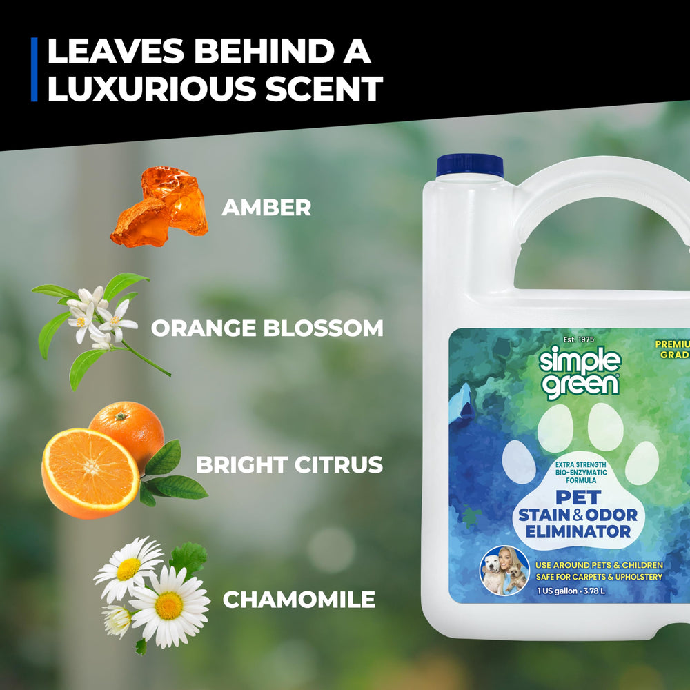 Soft furniture cleaned with Simple Green to remove odors