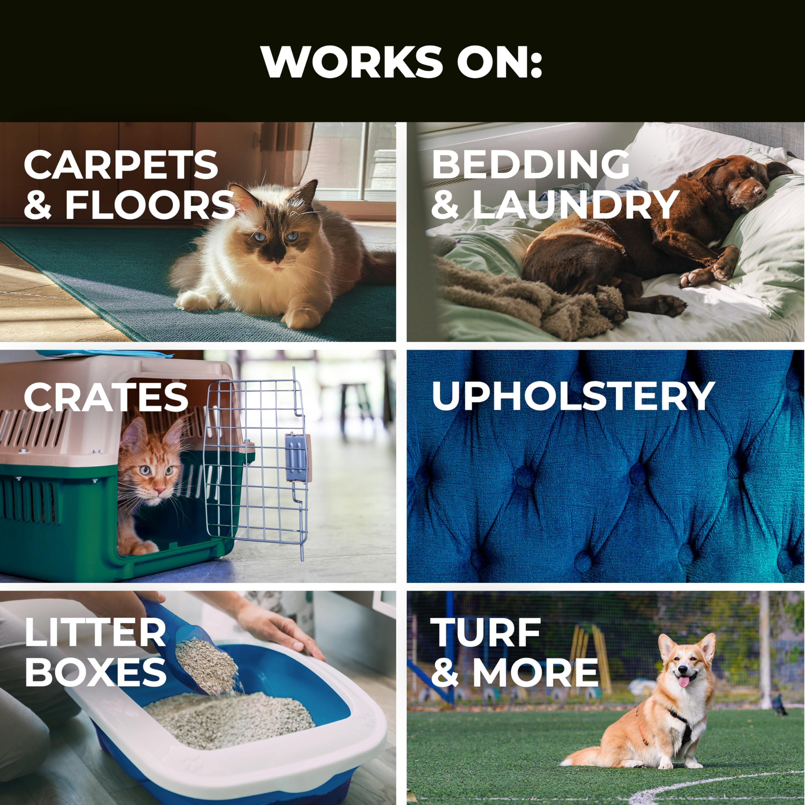 Simple Green removes urine stain from upholstery and fabrics