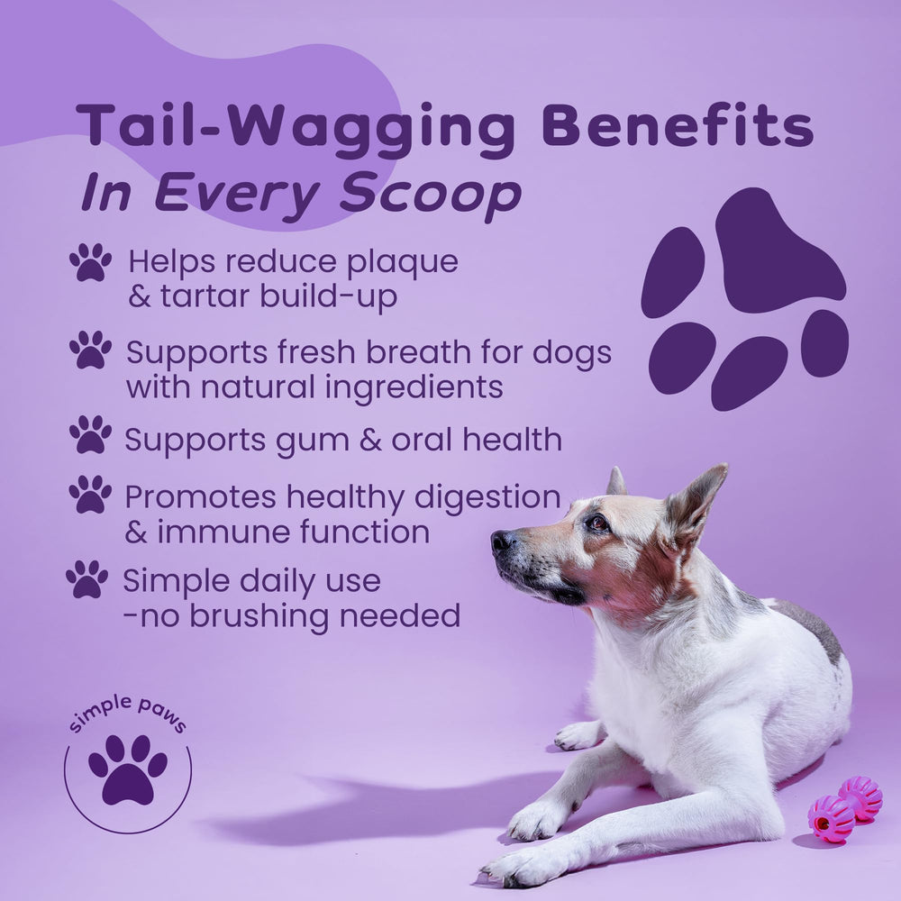 Simple Paws dental powder scoop dispensing for mess-free meals