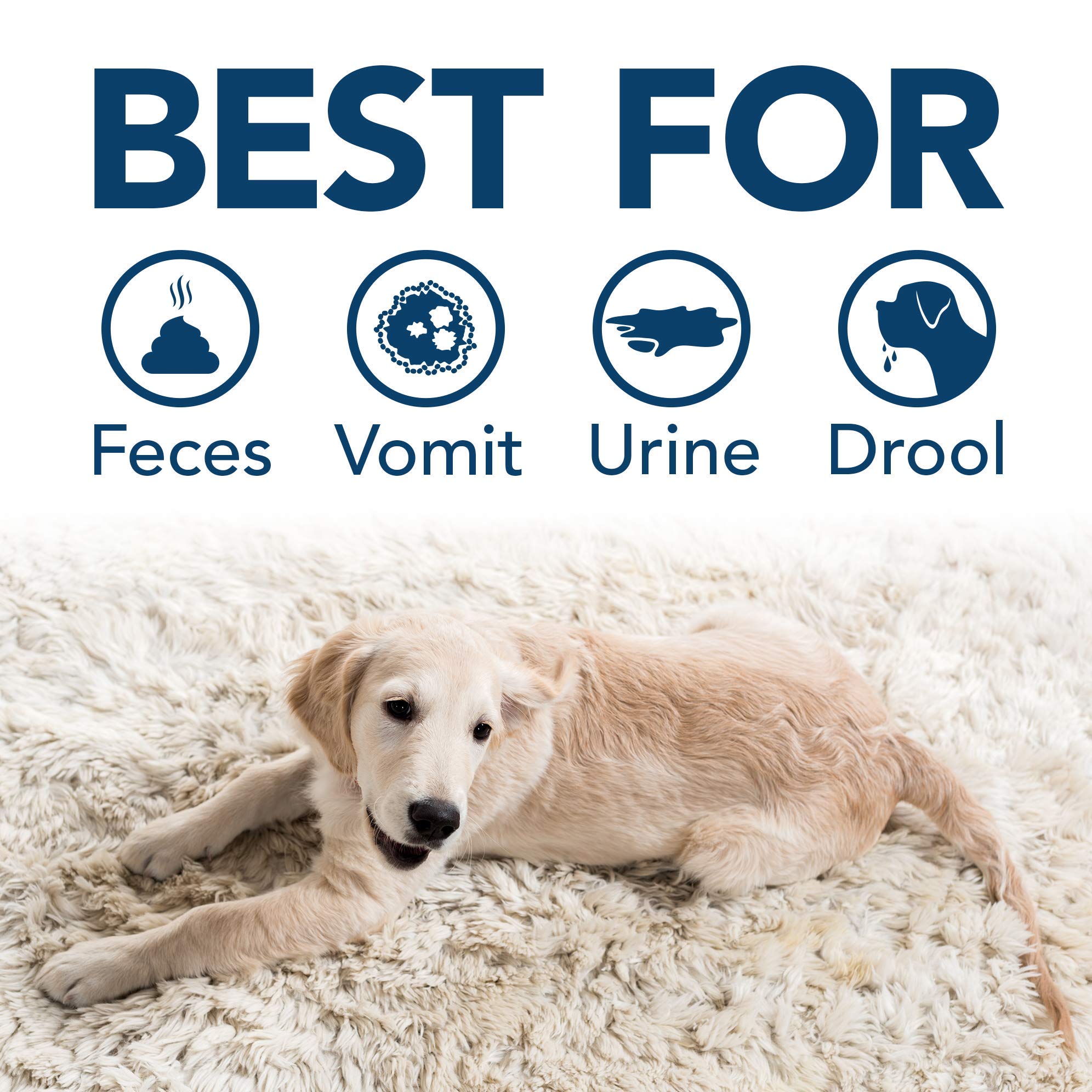 Simple Solution carpet odor destroyer reduces pet smells at the source.