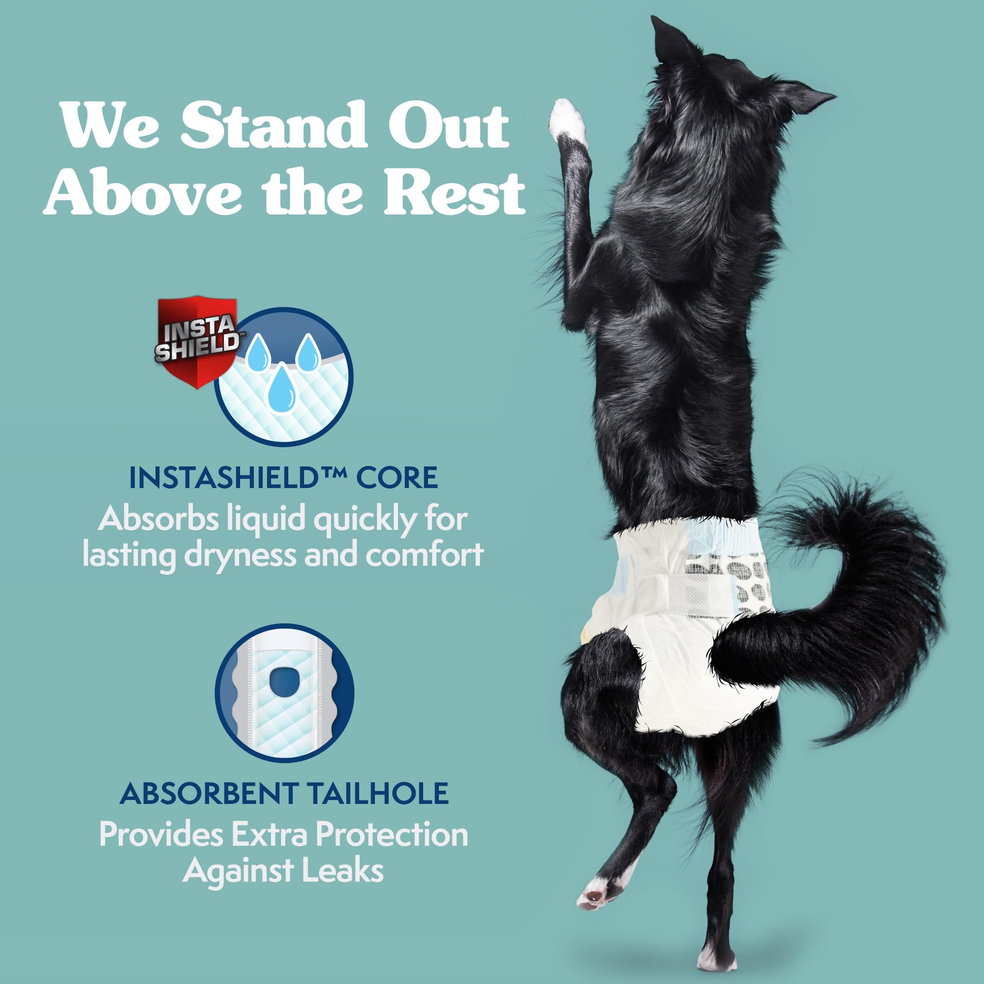 Simple Solution dog diapers with absorbent core for moisture containment.