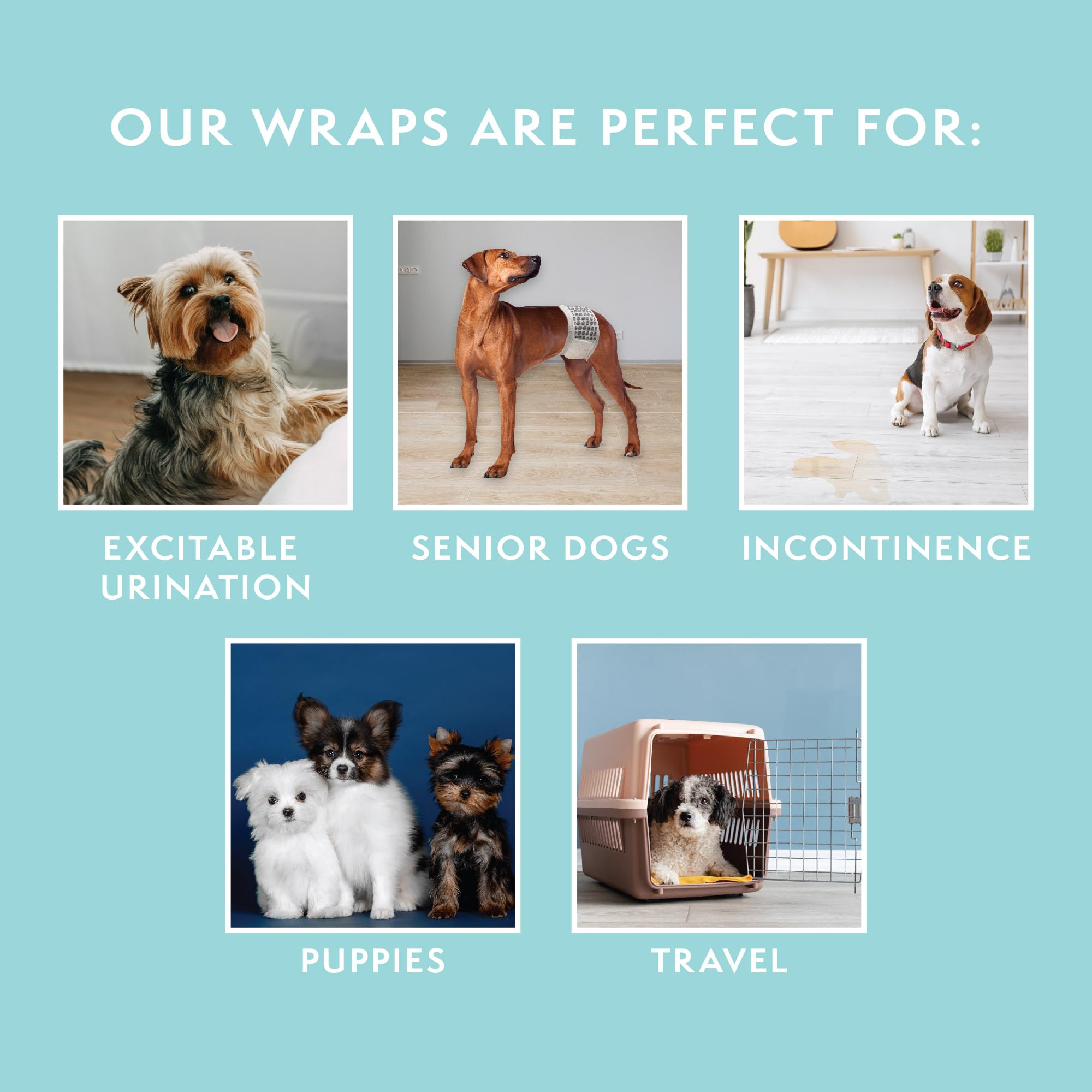 Simple Solution wrap features fur-friendly fasteners for easy secure fit.