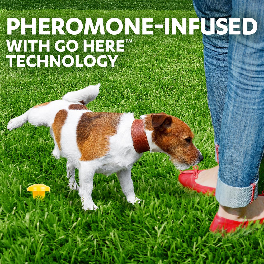 Simple Solution Pee Post installation in your yard makes potty training easier.