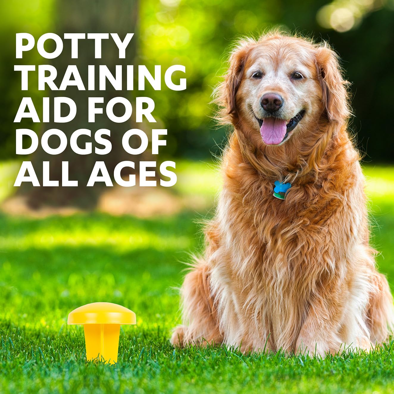 Simple Solution Pee Post helps designate a potty area, supporting consistent training routines.