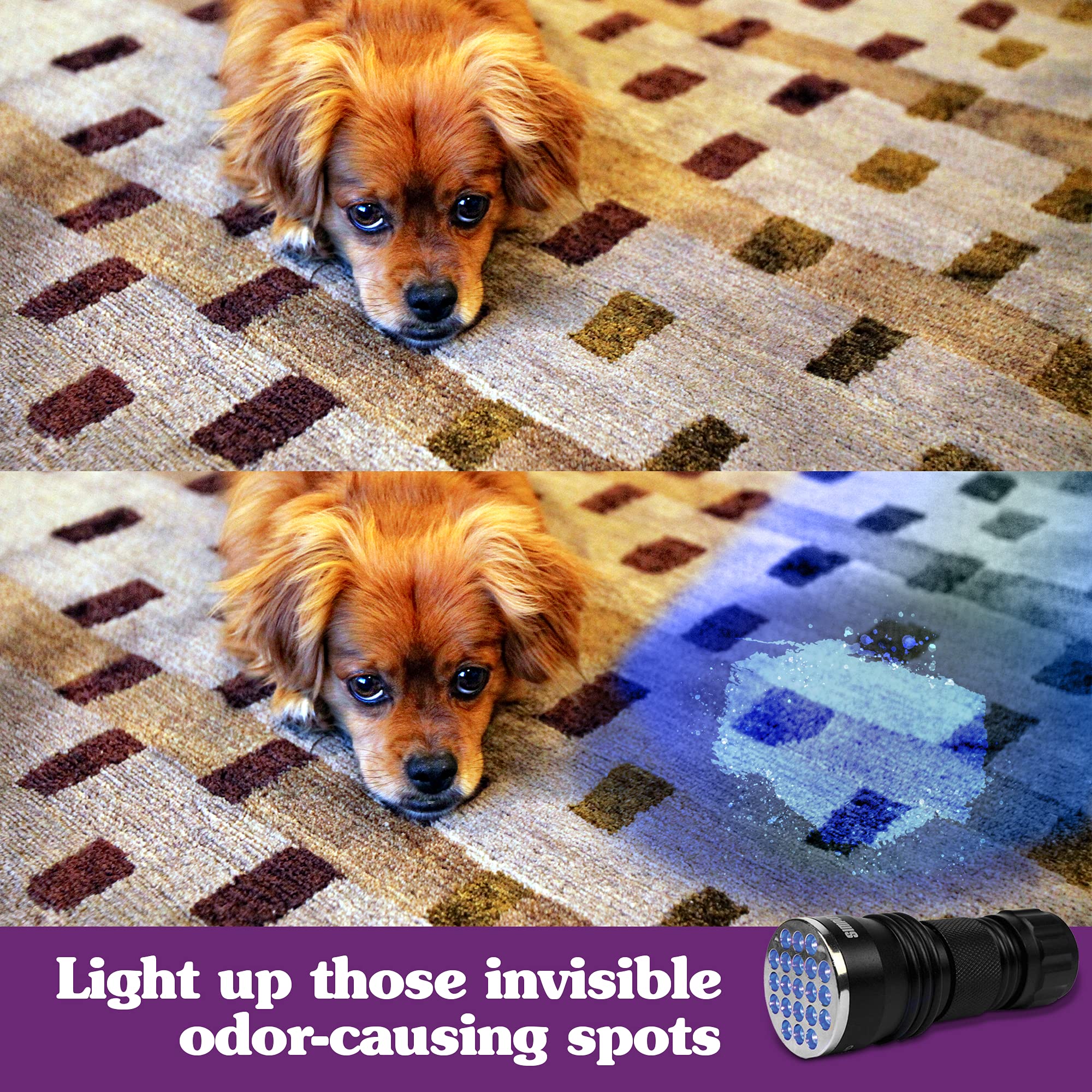 Simple Solution Spot Spotter UV glow highlights dried messes in low light for precise cleaning.