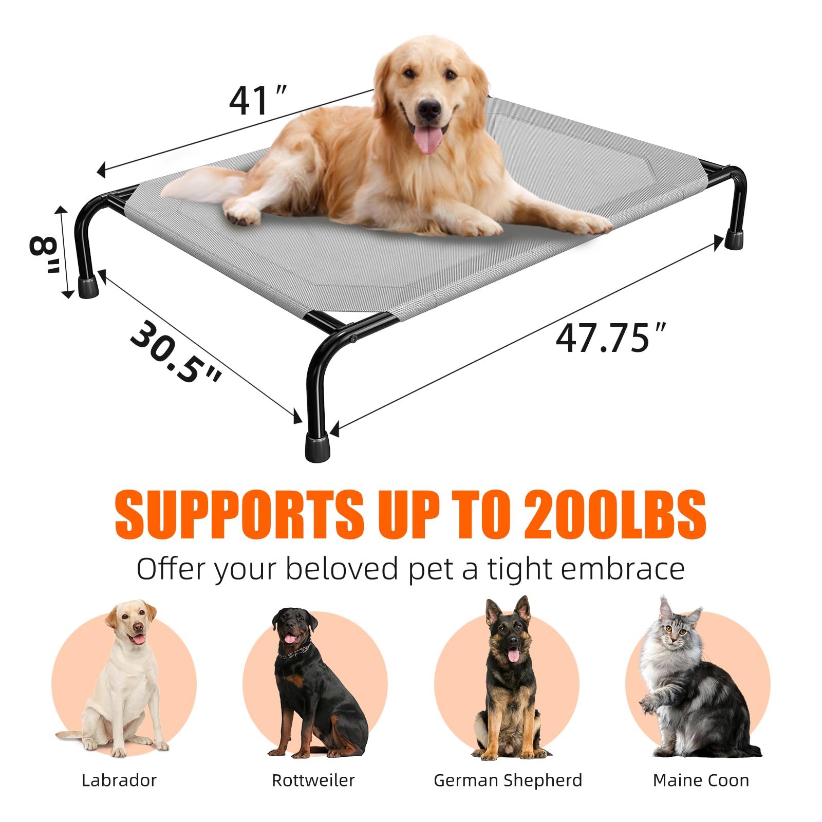 Simple Trending 8-inch height suits puppies to seniors for easy access