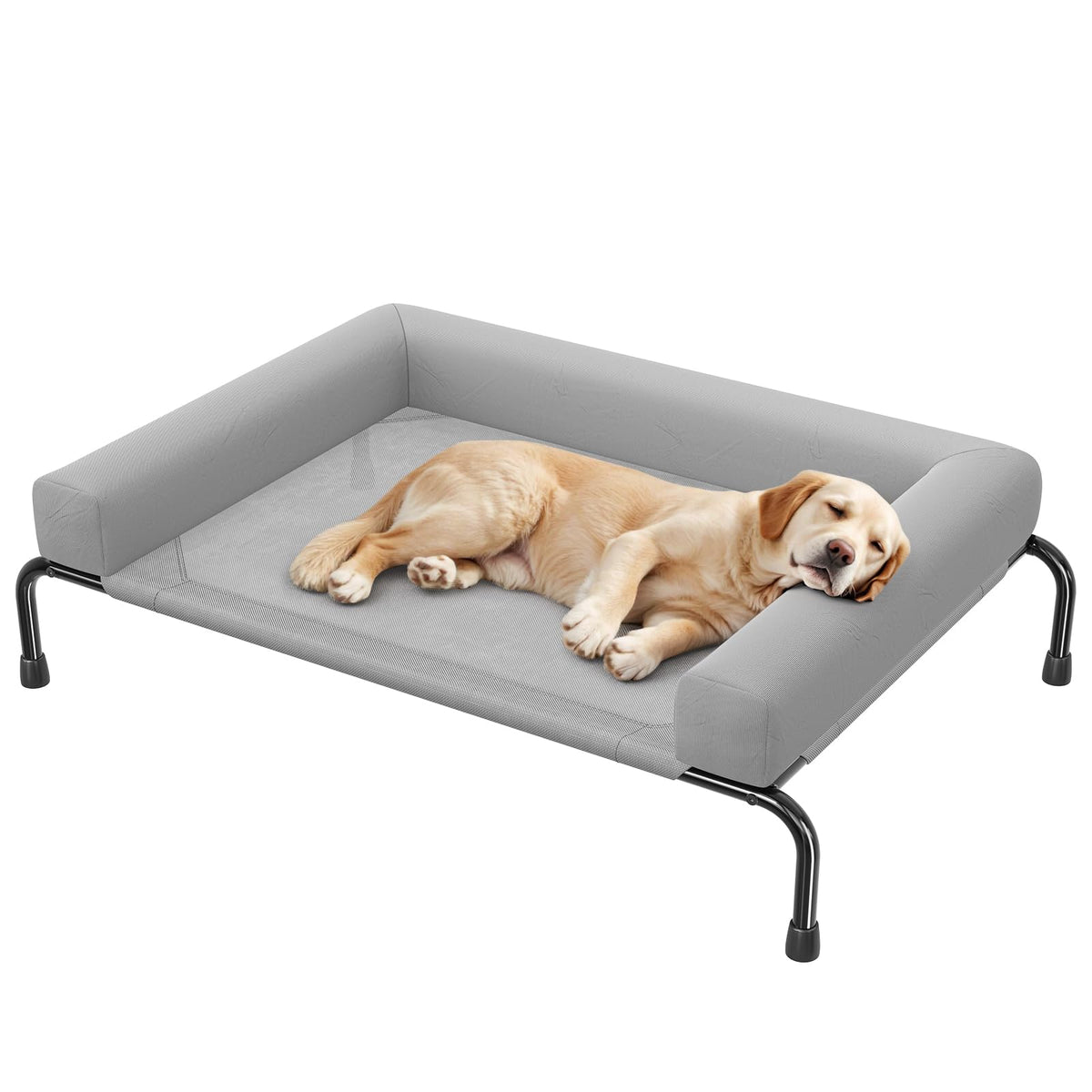 Simple Trending elevated dog bed with large dimensions for cooling comfort