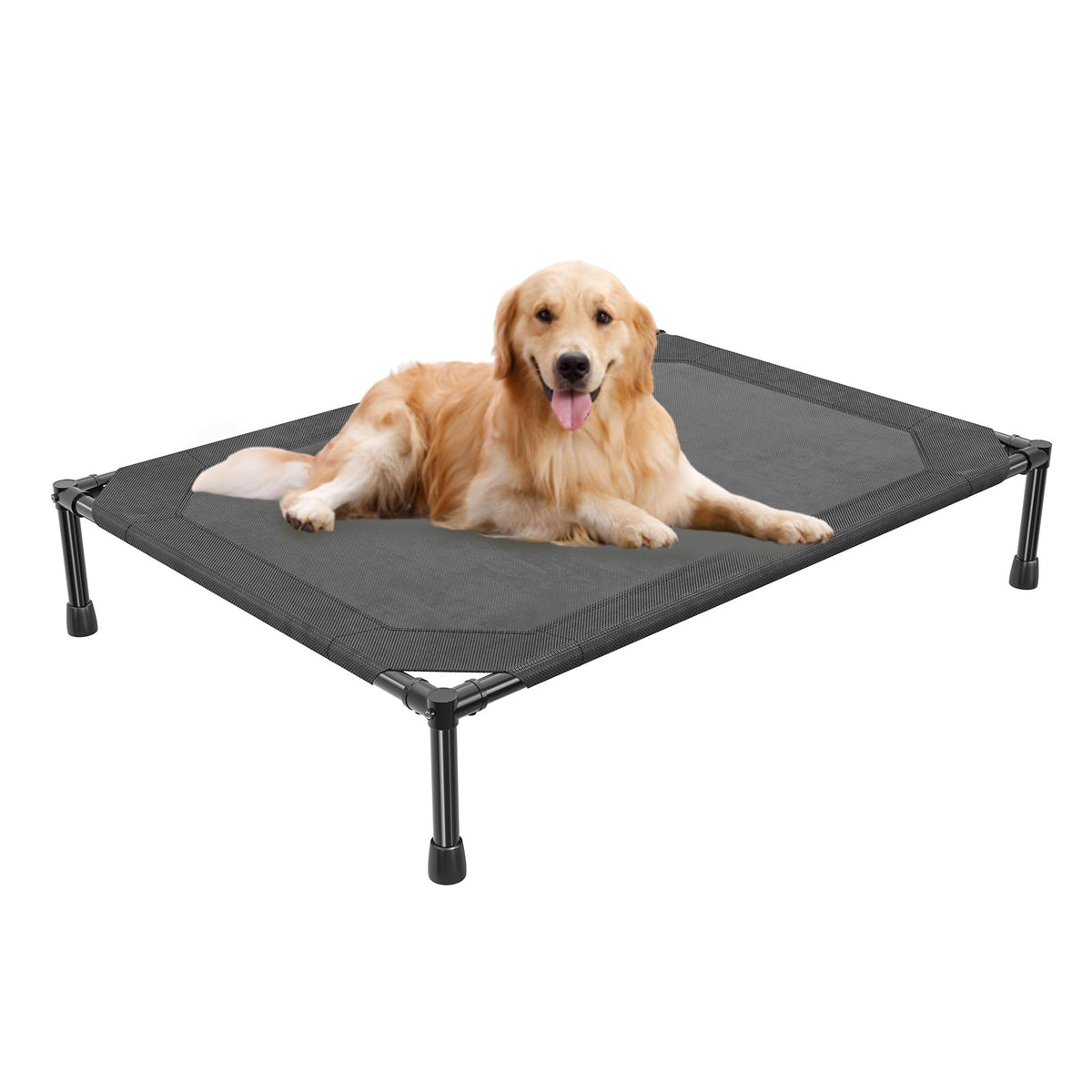 Simple Trending Elevated Dog Bed outdoor; cooling comfort for large dogs.