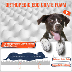 Simple Trending dog bed shows removable cover for easy cleaning between uses.