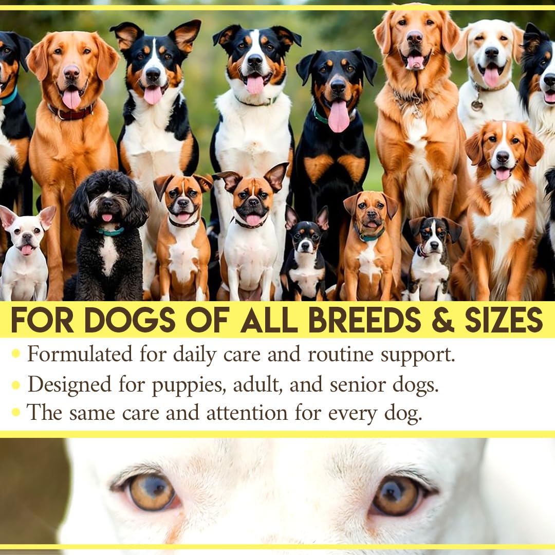 Since 1871 Gulluoglu Aura Pets dog enjoying stress-free eye support via drops.