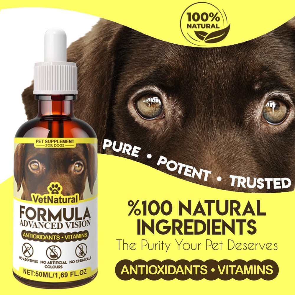 Close-up of Aura Pets vision drops bottle dropper ready for precise dosing.