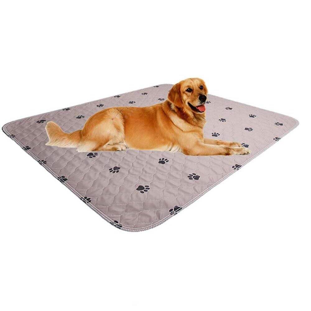 SincoPet washable dog pee pad 60x84 front view showing extra-large training surface.