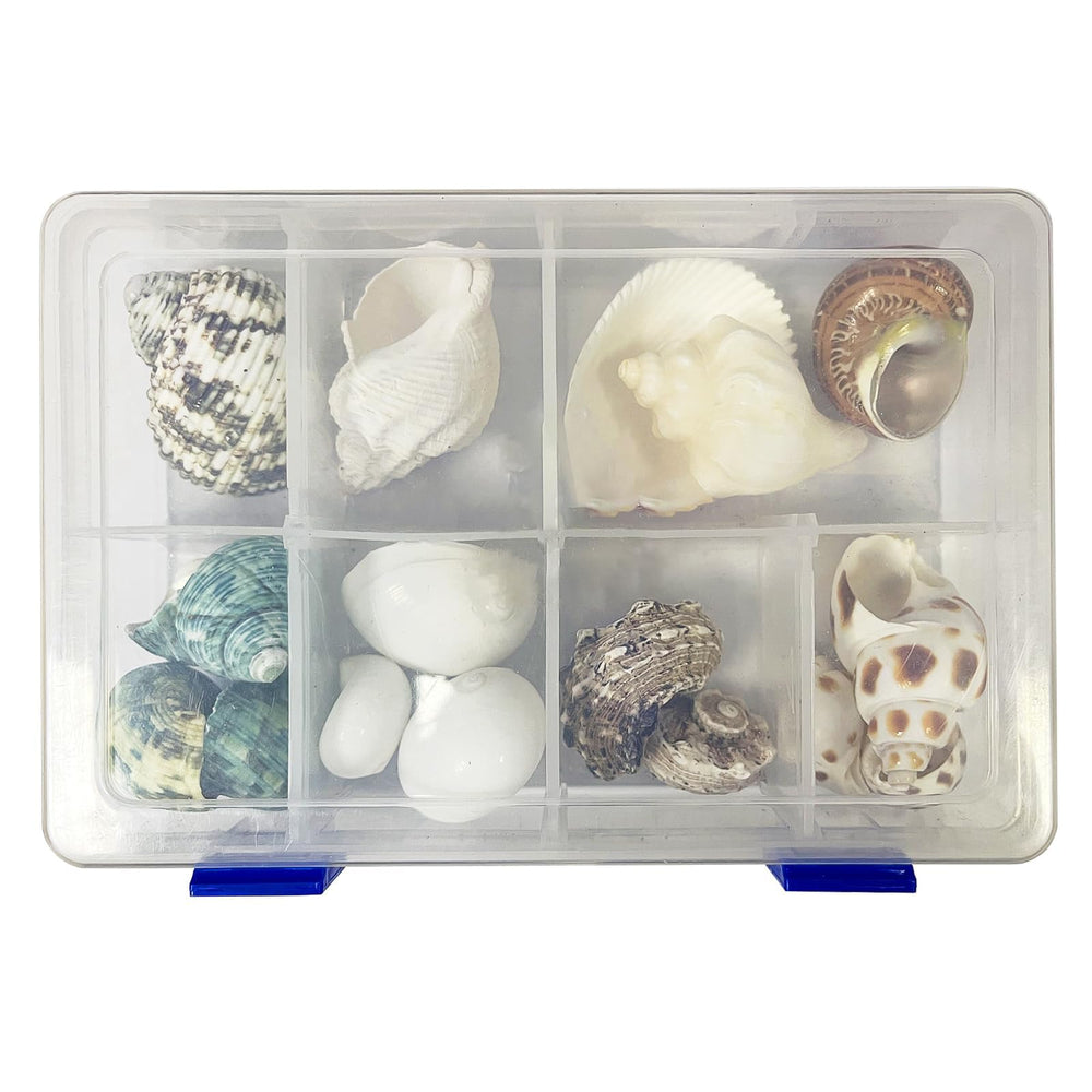 SINKOO gift-ready hermit crab shells for pet lovers