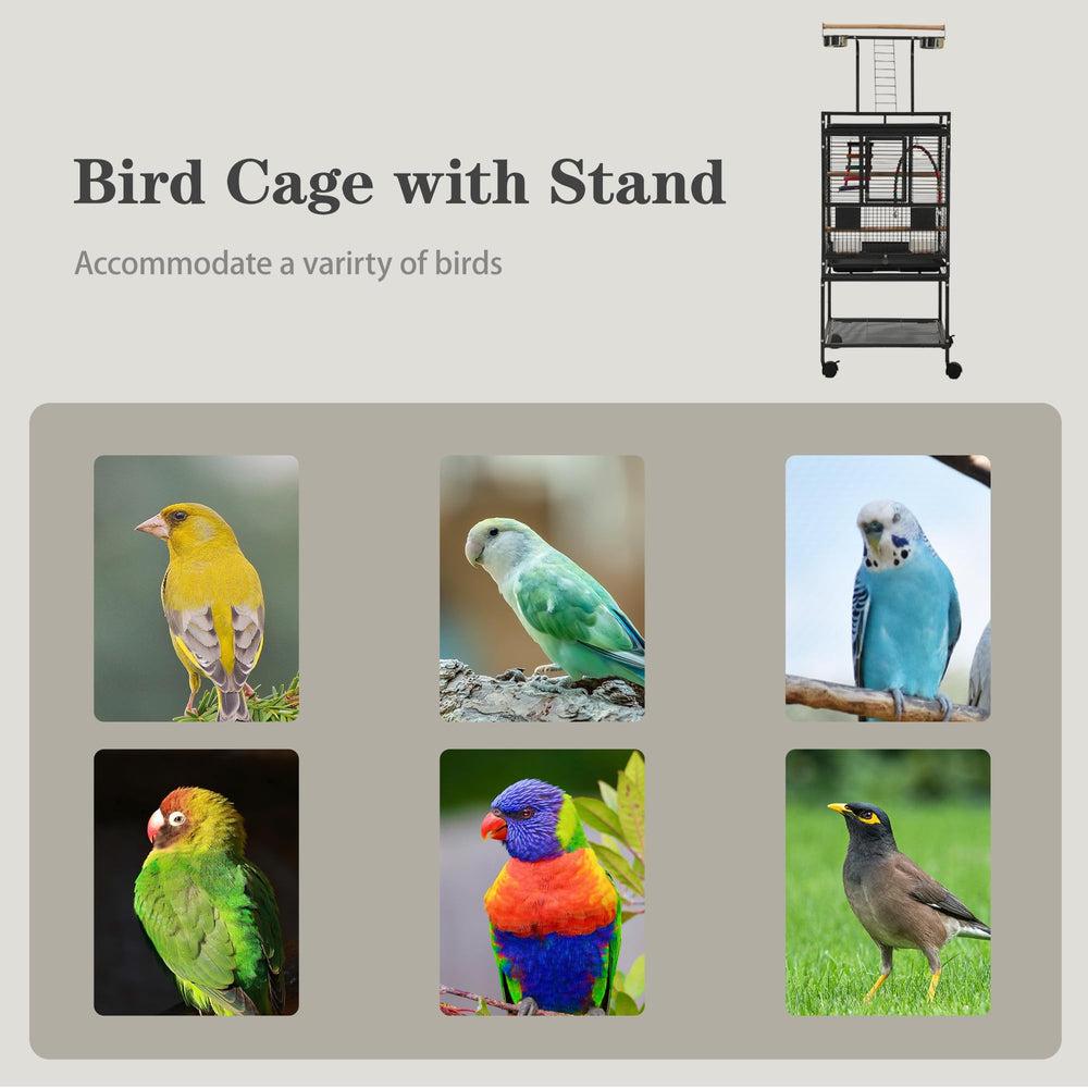 Sinopet bird cage includes accessories for ready-to-use setup