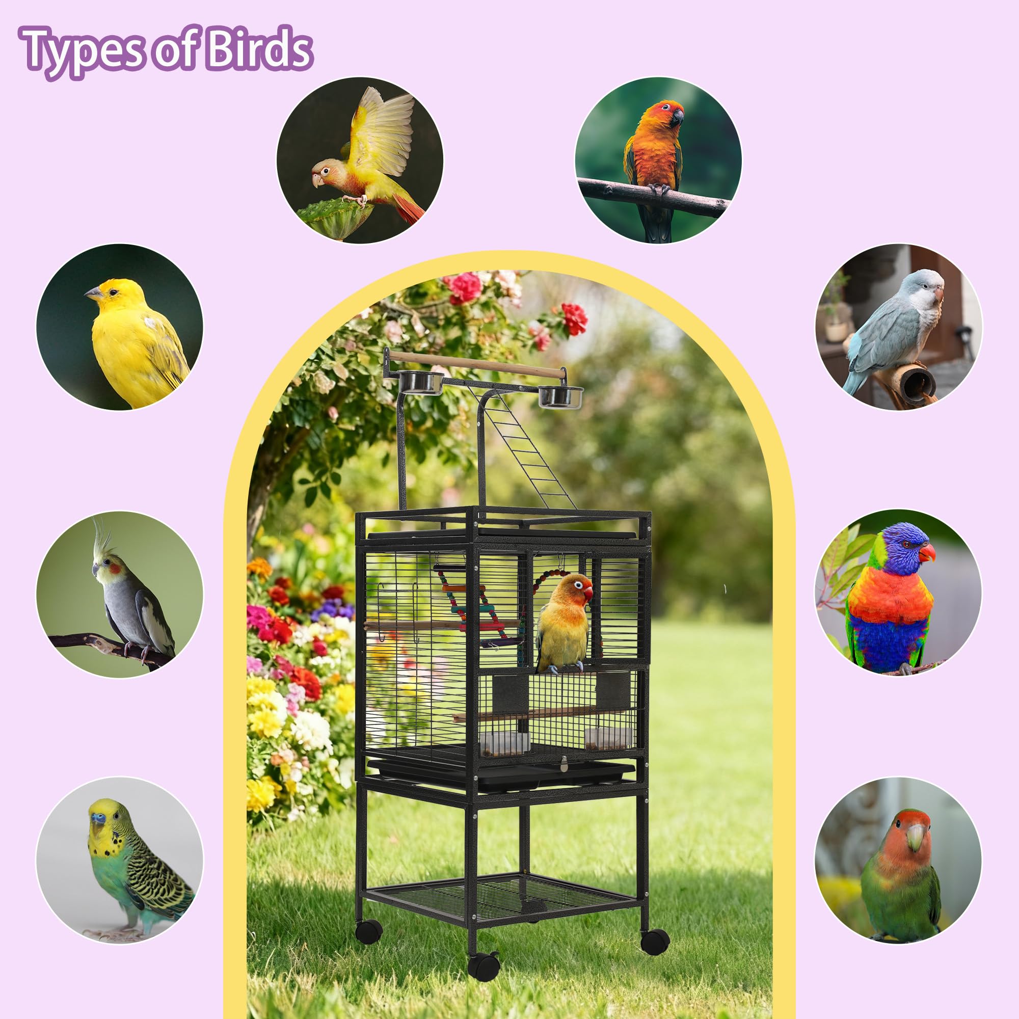 Sinopet locking casters and secure locks for stability