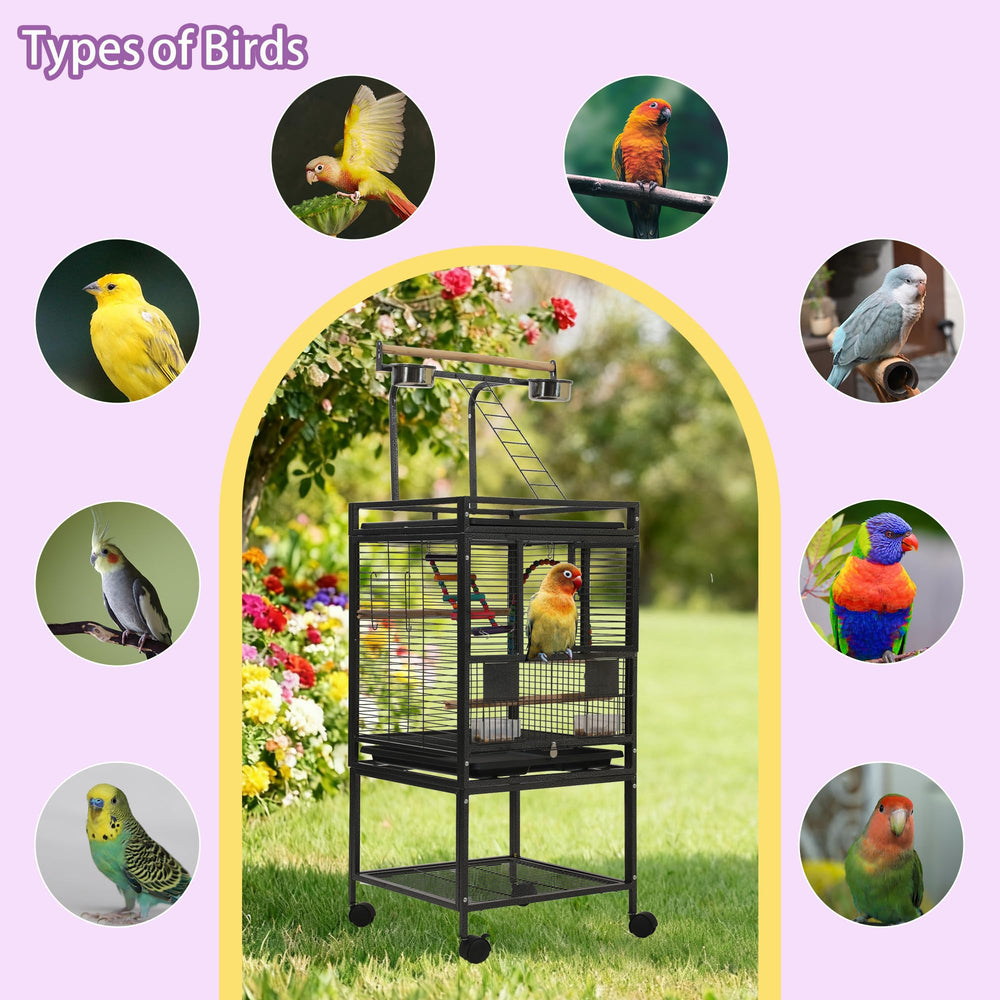 Sinopet locking casters and secure locks for stability