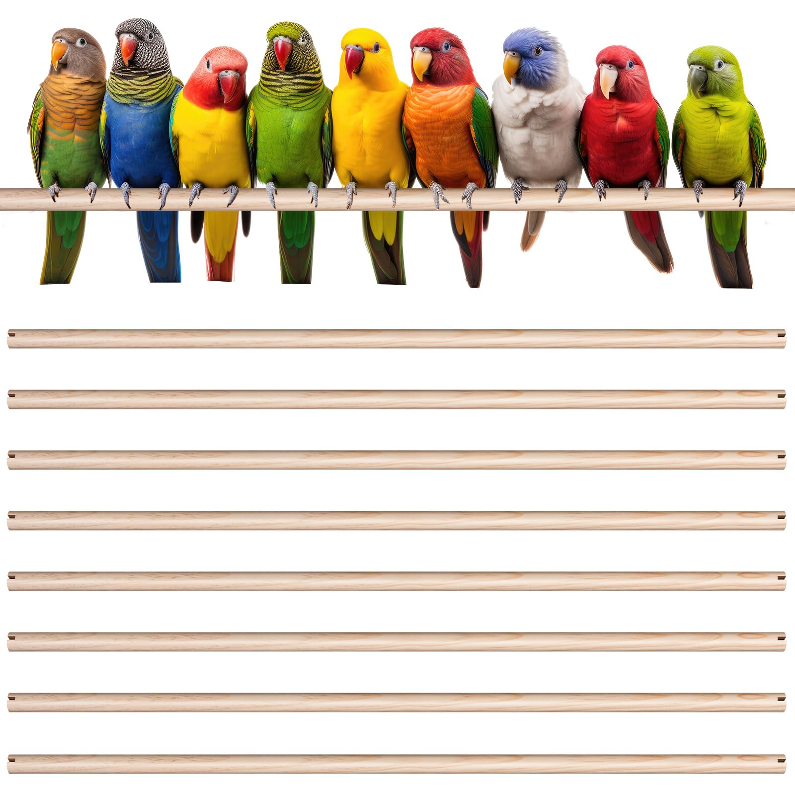 Sintuff wooden bird perch, 24 inch, double-slot design for quick cage setup and secure grip