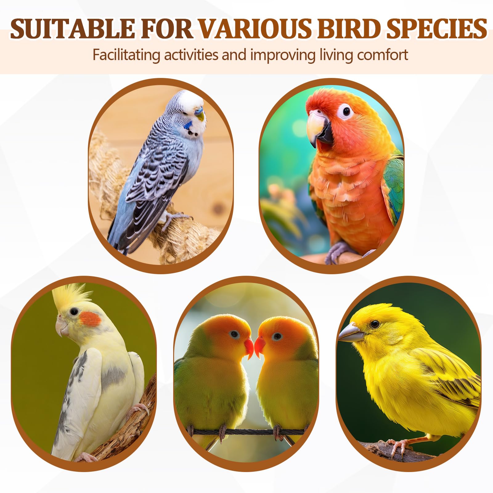 Sintuff eight-piece perch set provides varied placement inside the cage